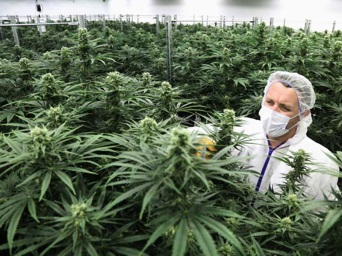 Haven Cannabis Dispensary interior